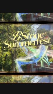sommerfest '26 vlog🌼🌼